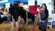 C'est au salon de l'agriculture qu'on chope une salope amatrice