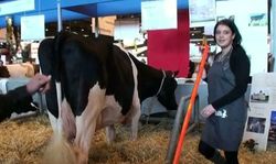 C'est au salon de l'agriculture qu'on chope une salope amatrice